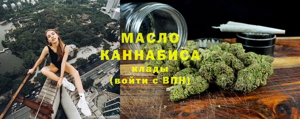 гидропоника Каменка