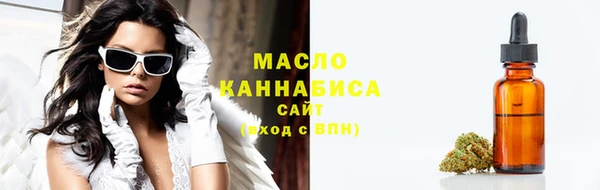 гидропоника Каменка