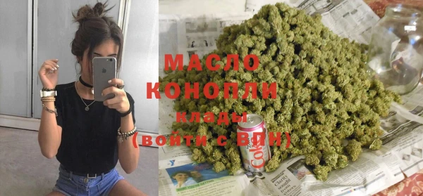гидропоника Каменка