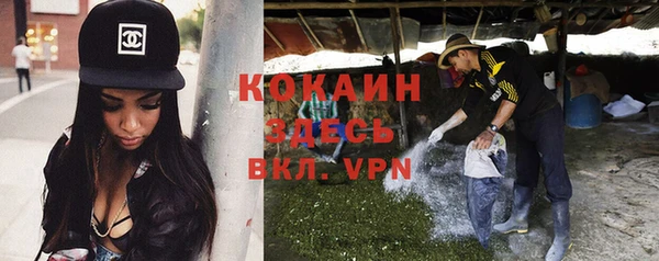 гидропоника Каменка