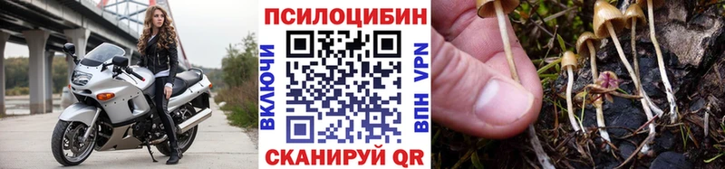 Купить где  Медынь  Псилоцибиновые грибы ЛСД 