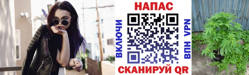 Бошки марихуана AK-47  Купить  Медынь 